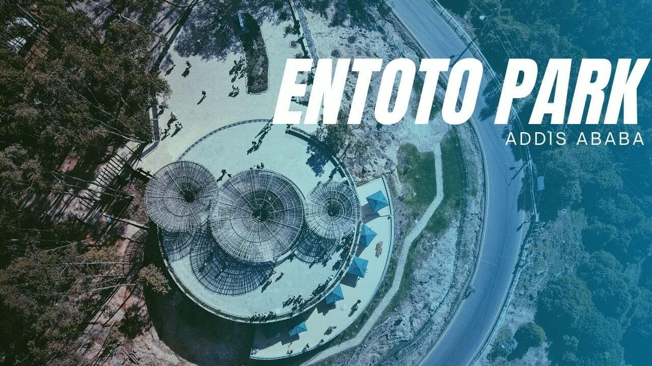 Entoto Park Addis Ababa tours